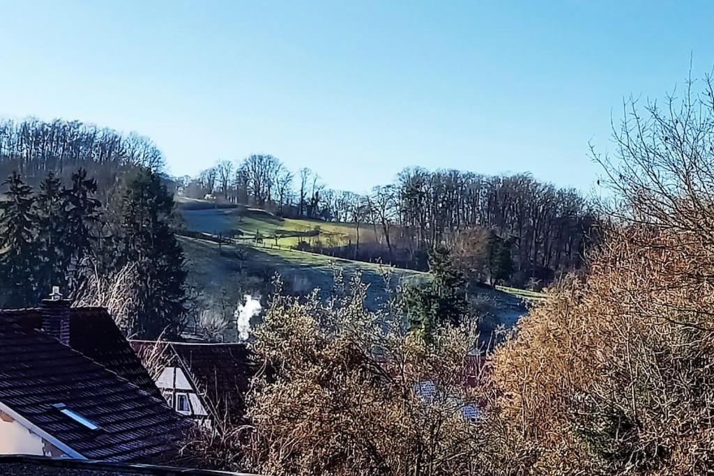 Kleine, Gemuetliche Dachgeschosswohnung Laudenbach  Bagian luar foto